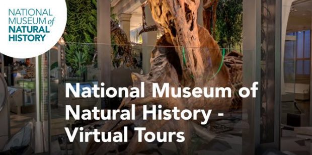 معرفی بهترین موزه های مجازی برای بازدید در دوران کرونا